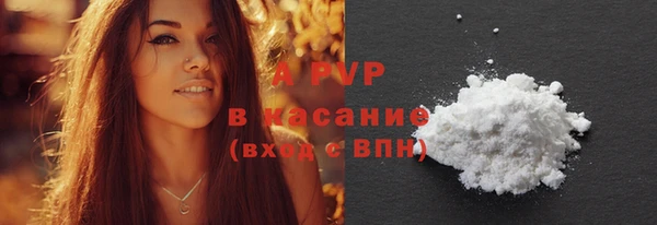 ПСИЛОЦИБИНОВЫЕ ГРИБЫ Пересвет