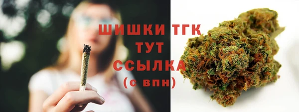 сатива Покров