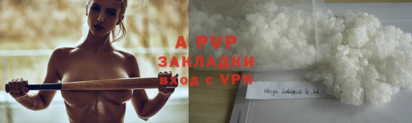 гашик Пестово