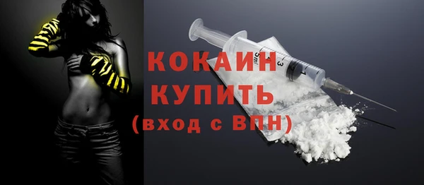 гашик Пестово