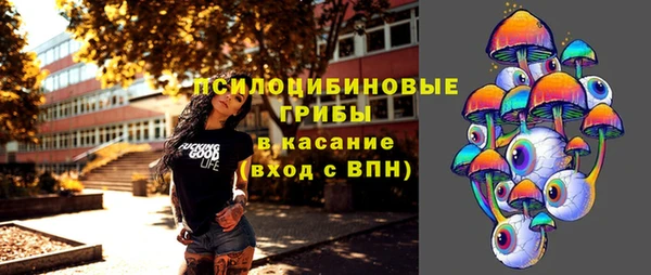 гашик Пестово