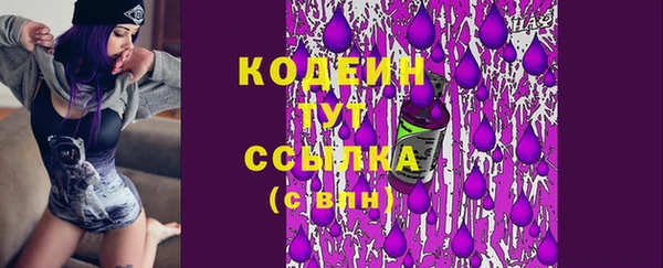 гашик Пестово