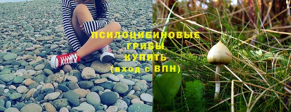 ПСИЛОЦИБИНОВЫЕ ГРИБЫ Пересвет