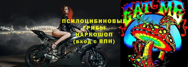 гашик Пестово