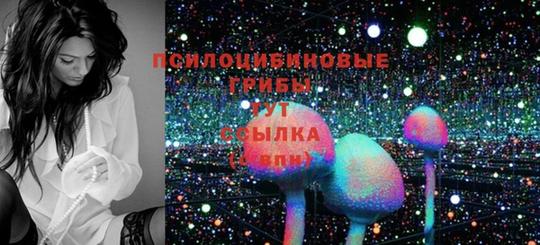 метамфетамин Покачи