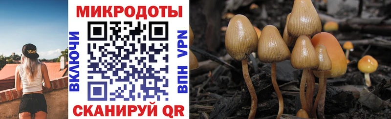 ссылка на мегу зеркало  Харовск  Галлюциногенные грибы мухоморы 